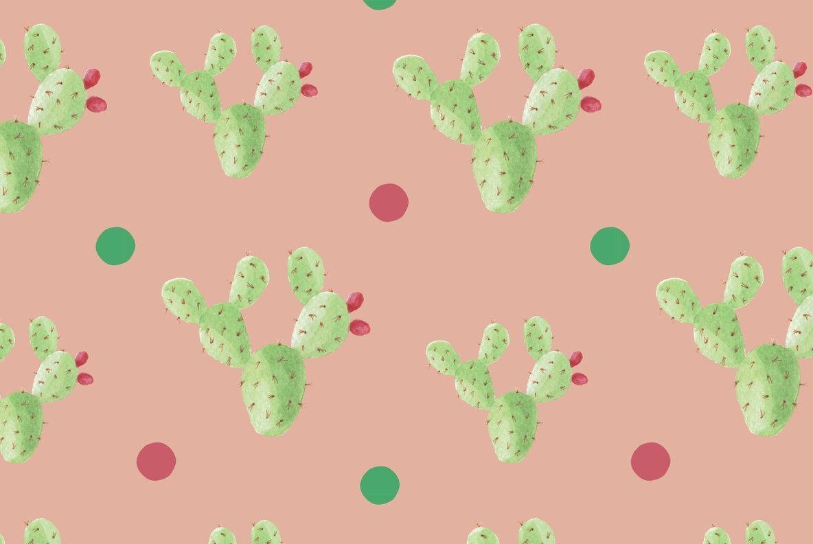 1184x792 Cactus Flower Watercolor Package