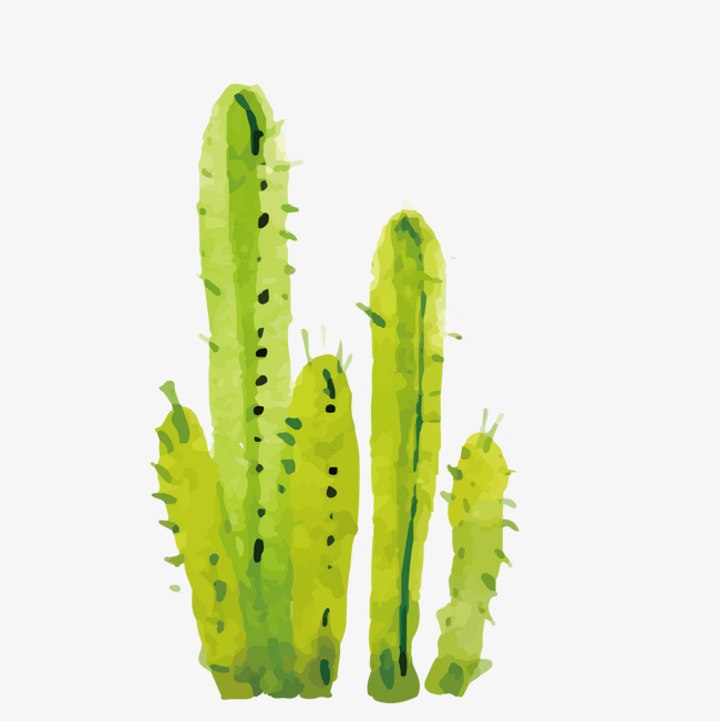 650x651 Green Watercolor Vector Cactus Hand Painted, Green Vector