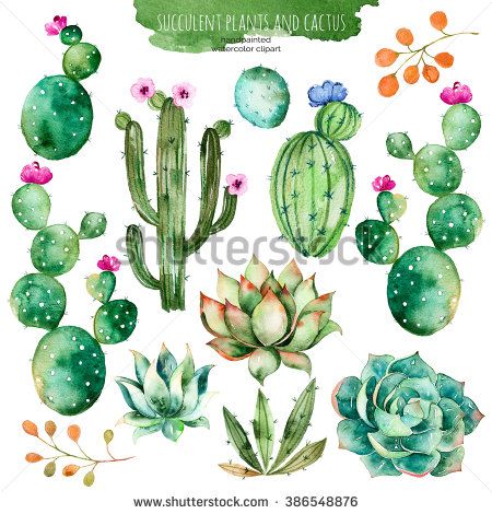 450x470 Set Of High Quality Hand Painted Watercolor Elements For Your