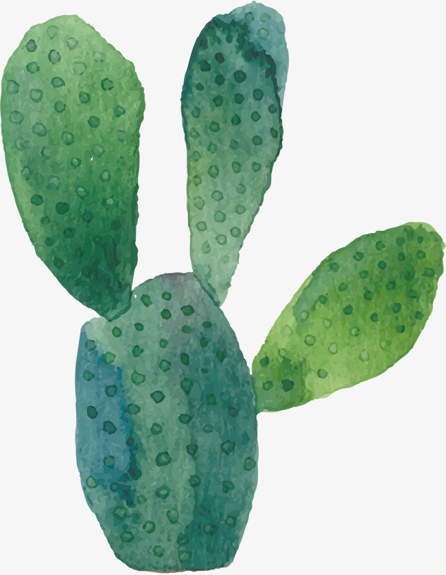 650x837 Vector Watercolor Cactus, Cactus, Watercolor, Vector Png And