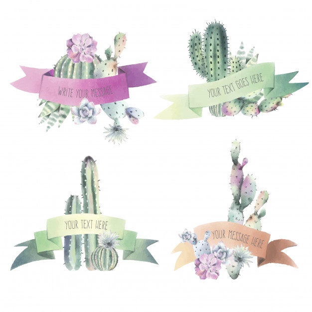 626x626 Watercolor Cactus Vectors, Photos And Psd Files Free Download