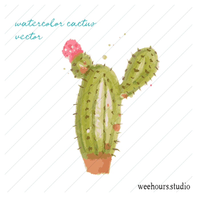 690x690 Watercolor Cactus Vector For Digital By Wee Hours Studio On Zibbet