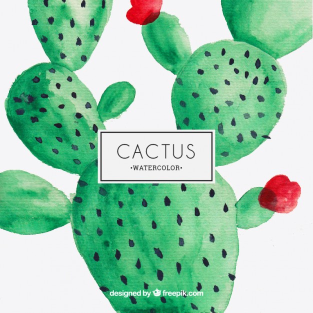 626x626 Watercolor Cactus Vector Premium Download