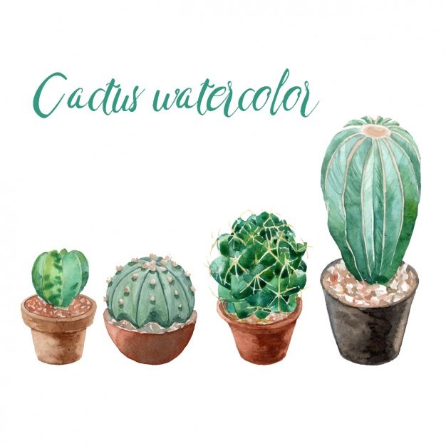 626x626 De Cactos Watercolor In 2018 Fun And Cute )