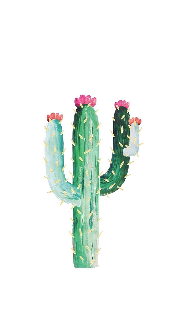 640x1136 Cactus Wallpaper (From My Jewellery Cacti