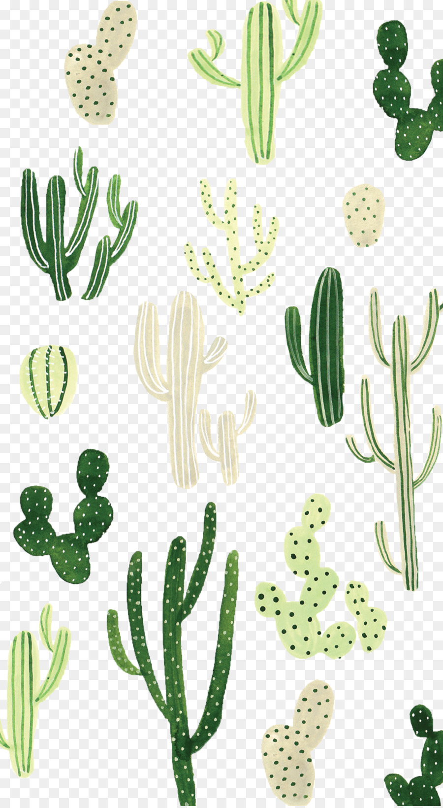 900x1640 Desktop Wallpaper Cactaceae Iphone Wallpaper