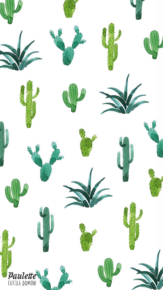 640x1136 Cactus Iphone Wallpaper Wallpaper In 2018 Cacti