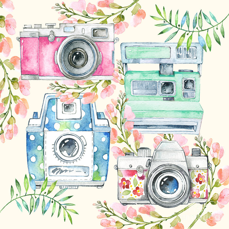 900x900 Watercolor Cameras And Flowers Photograph By Natalie Kinnear