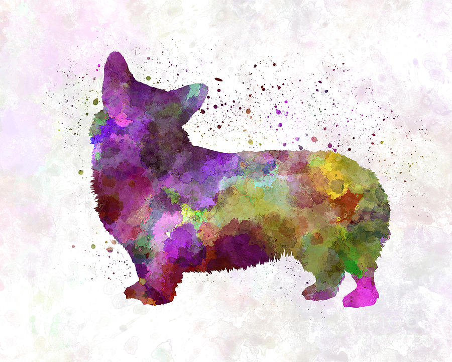 900x720 Welsh Corgi Cardigan In Watercolor Painting By Pablo Romero