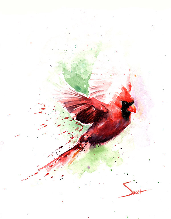 600x765 Cardinal Watercolor Print Watercolor Animal Paintings