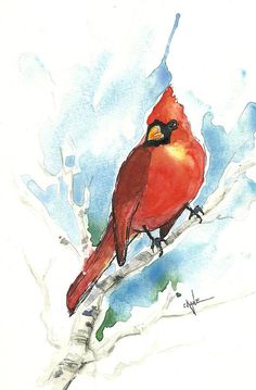 236x359 Cardinal In Watercolors Red Cardinal Cardinals