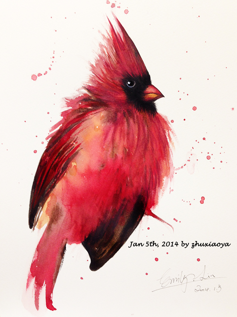 776x1036 North Cardinal Birds Watercolor Artwrok By Emily Lin