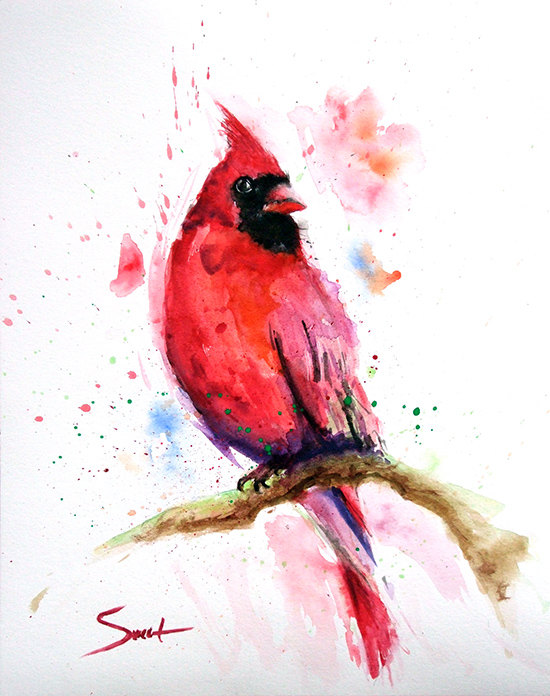 550x696 Red Cardinal Bird