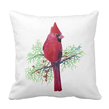 355x355 Zazzle Watercolor Cardinal, Red Bird Throw Pillow 16