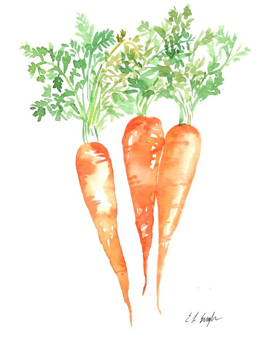 570x716 Three Watercolor Carrots Original Painting By Growcreativeshop