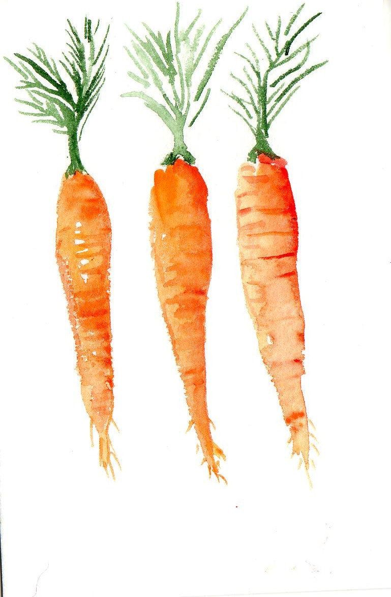 769x1172 4 X 6 Original Carrots Painting Watercolor Painting Watercolor