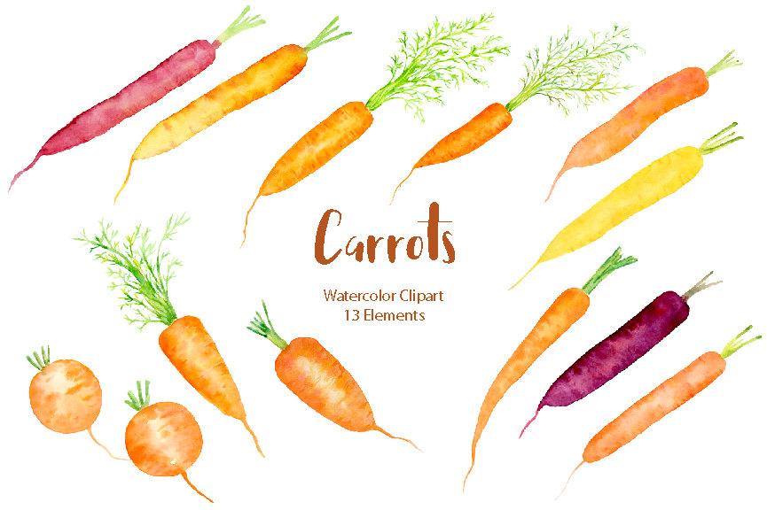 865x576 Watercolor Clipart,carrot Illustration, Rainbow Carrots