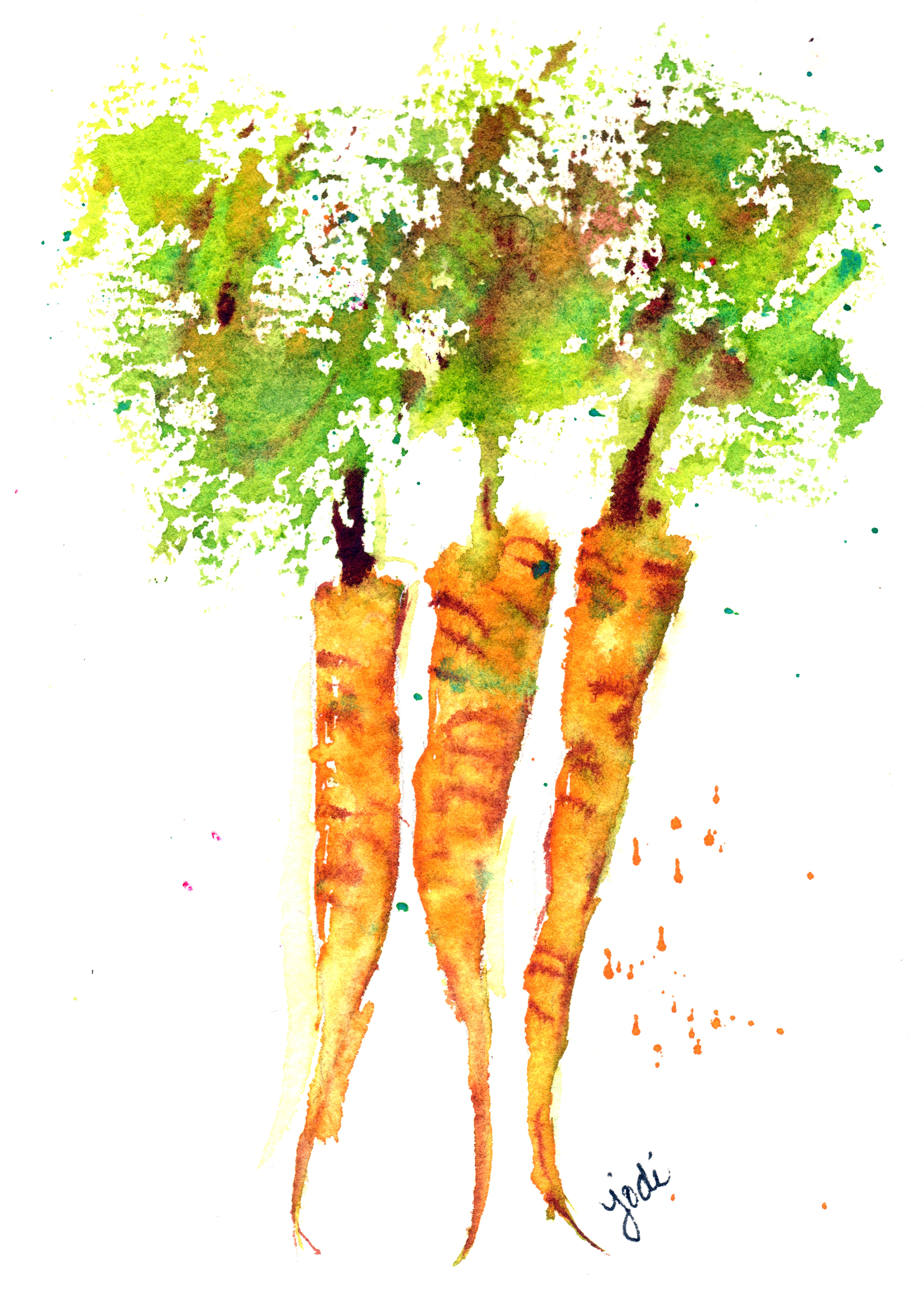 5644x7910 Carrots The Creative Life In Between
