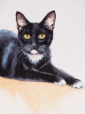 279x374 Custom Cat Portraits And Watercolor Paintings