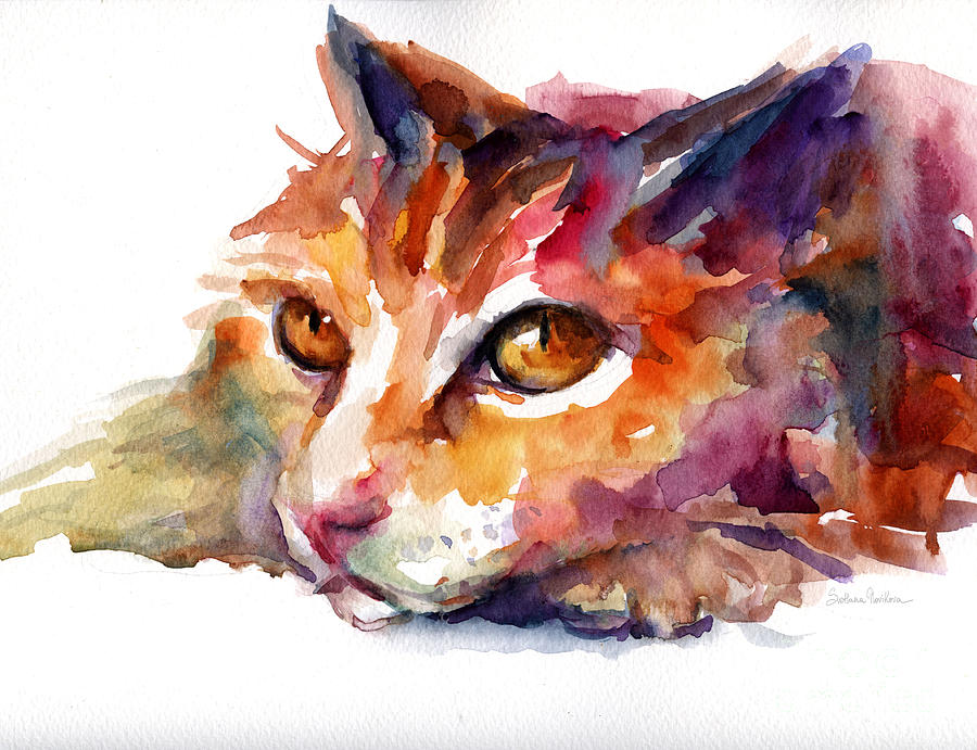 900x691 Watercolor Orange Tubby Cat Painting By Svetlana Novikova
