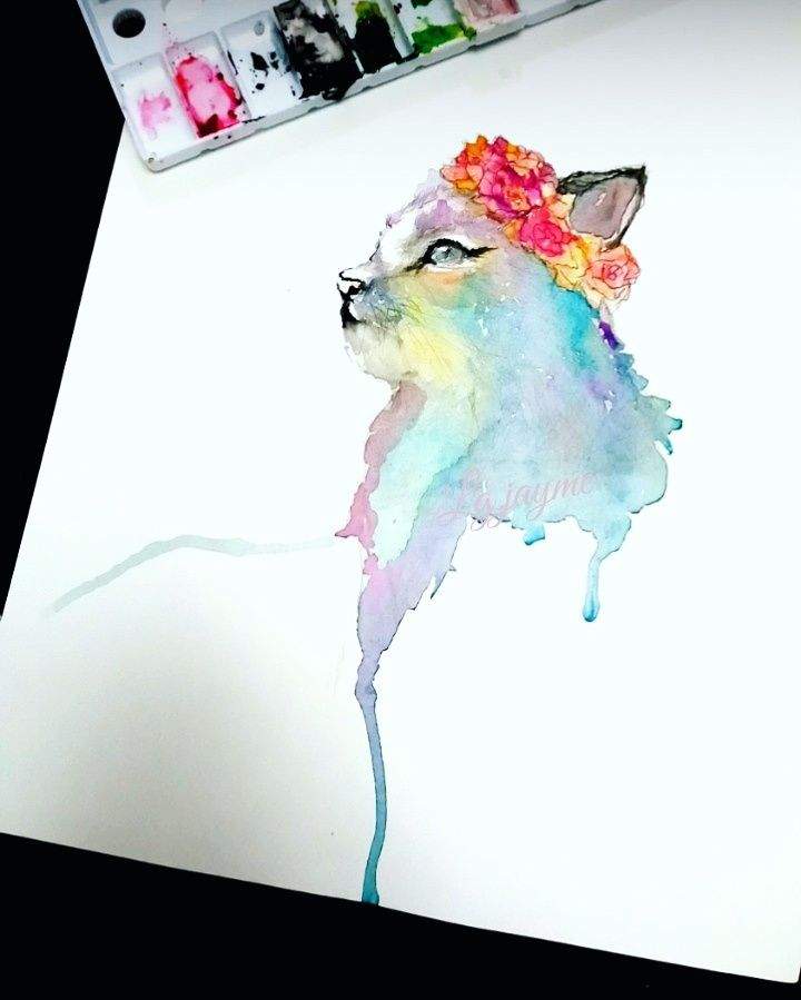 720x899 Watercolor Cat Art Amino