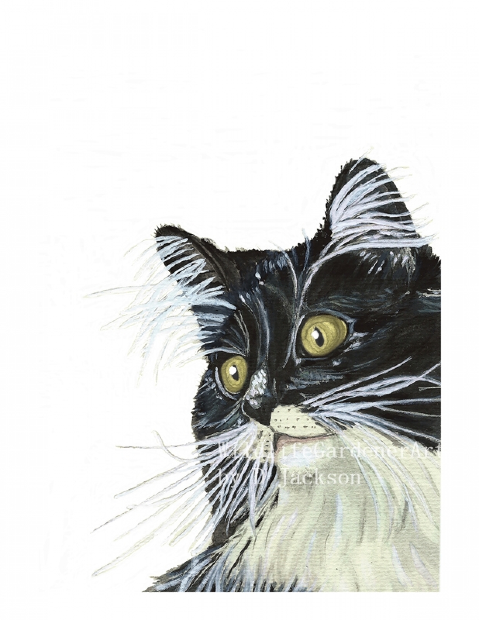 1600x2071 Tuxedo Cat Watercolor Art Print, Black And White Cat Art, Yellow