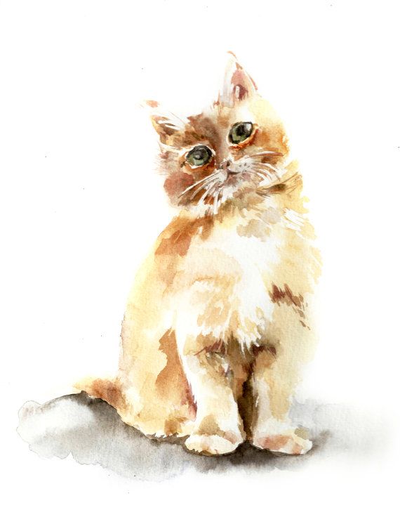 570x726 Art Print Of Kitten, Watercolor Print, Cat Watercolor Painting