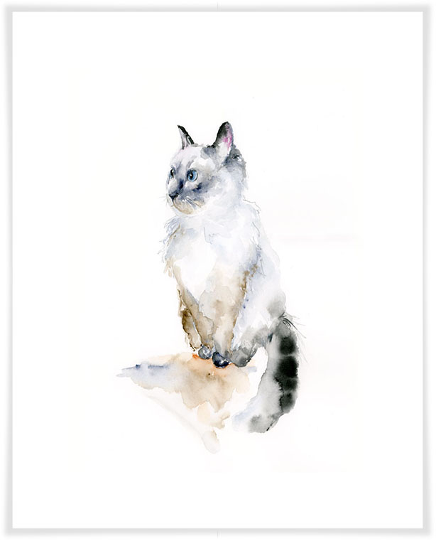 614x775 Watercolor Ragdoll Cat, Dogs Amp Cats Canvas Wall Art Greenbox
