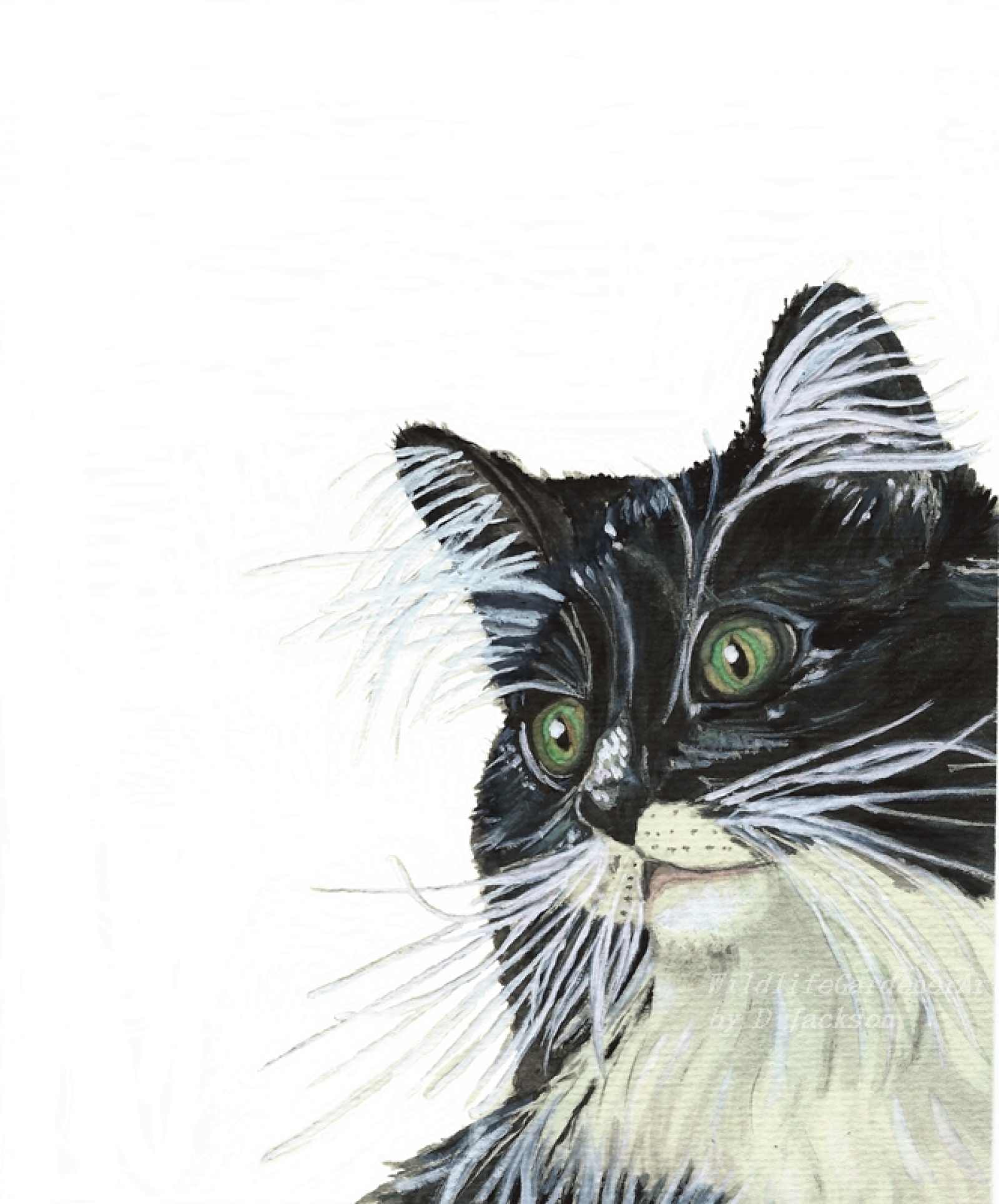 1600x1928 Watercolor Tuxedo Cat Art Print, Black And White Pet Art, Gift