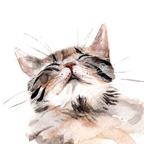 500x500 Cat, Art, And Drawing Bild Cat Paintings, Art Cat