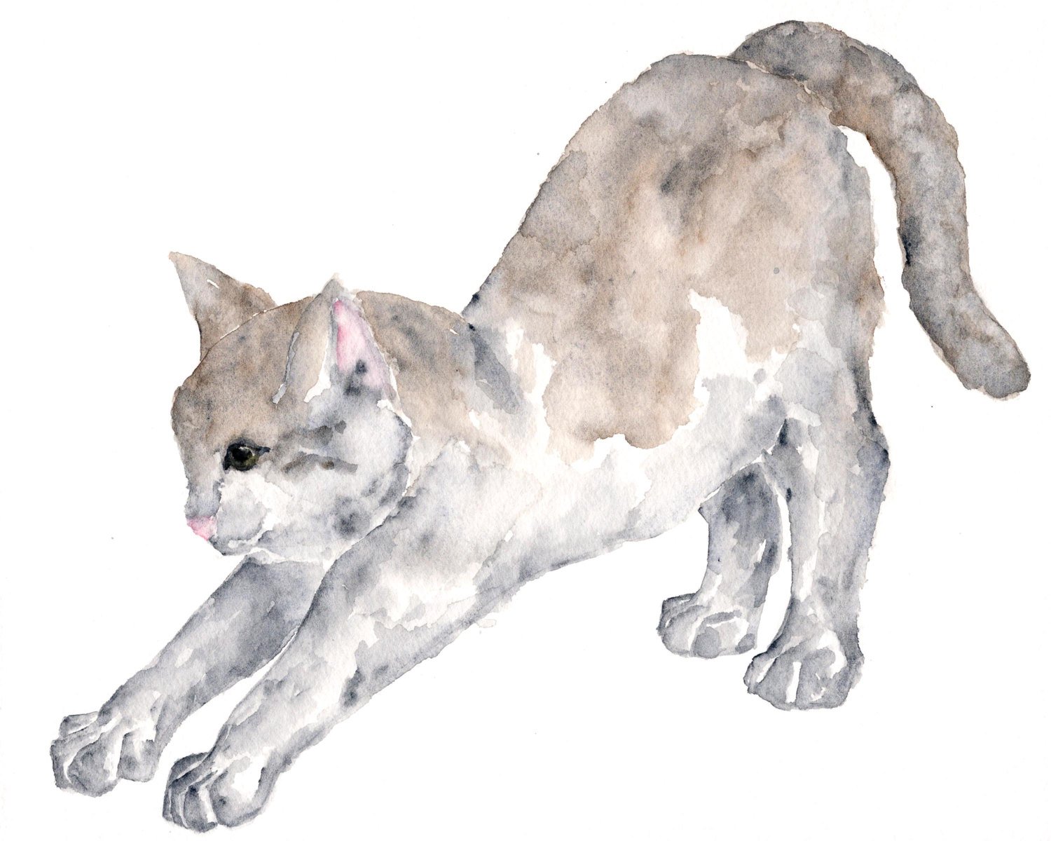 1500x1200 Watercolor Cat Painting Cat Art Cats Watercolor Animals Etsy