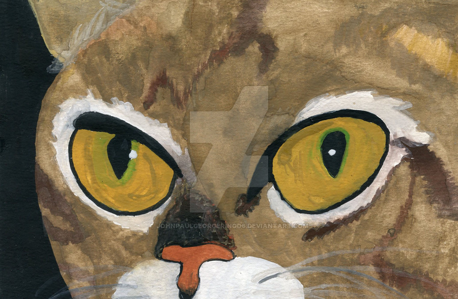900x587 Cat Eyes Watercolor By Johnpaulgeorgeringo6