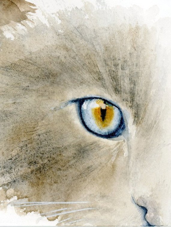 570x758 Cat Eye Watercolor Print Feline Watercolor Cat Print Blue Etsy