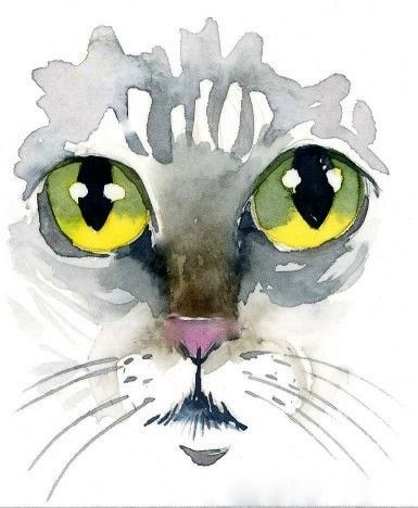 385x468 Cats Eyes, Watercolor By Kim Attwooll Watercolor Cats
