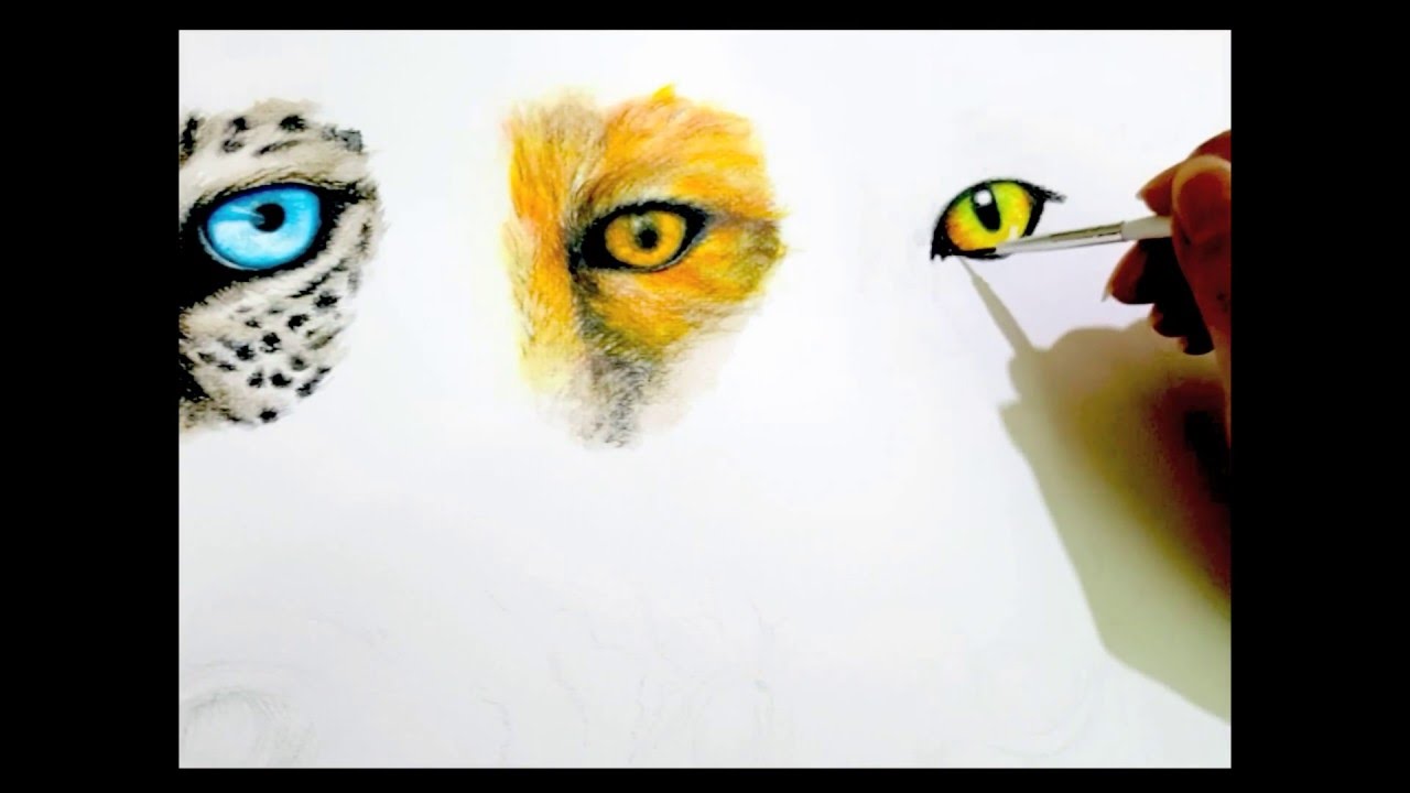 1280x720 Drawing Cat Eyes With Watercolor Pencils