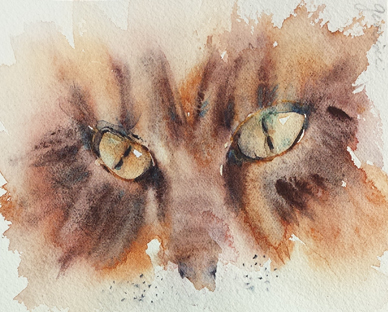 388x312 A Study Of Cats Eyes In Watercolor Paint With Me