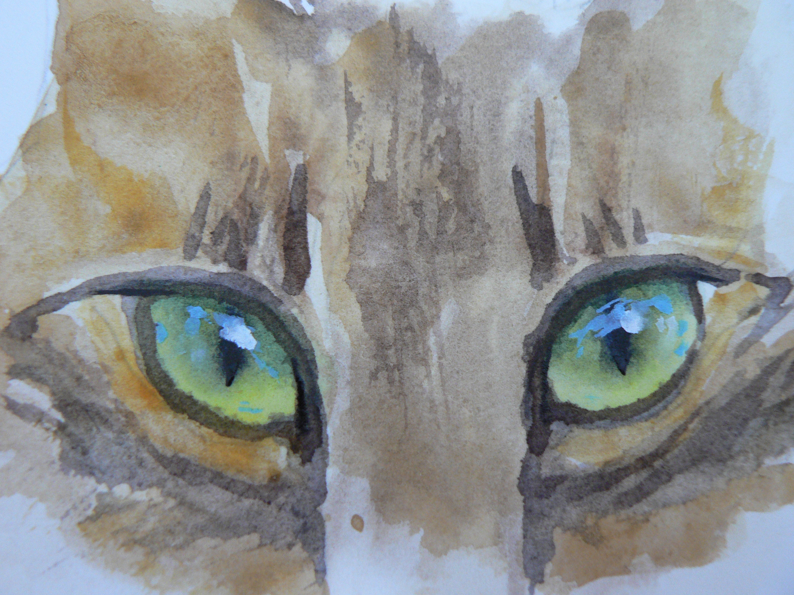 2560x1920 The Eyes Have It! Art Demo Tabby Cat Eyes Alison Fennell Art