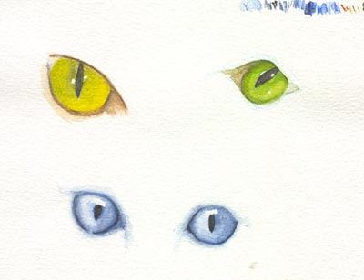 400x308 Watercolour Cats Eyes