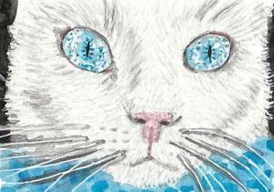 300x211 White Cat Face Blue Eyes Watercolor Aceo Original Painting Ebay
