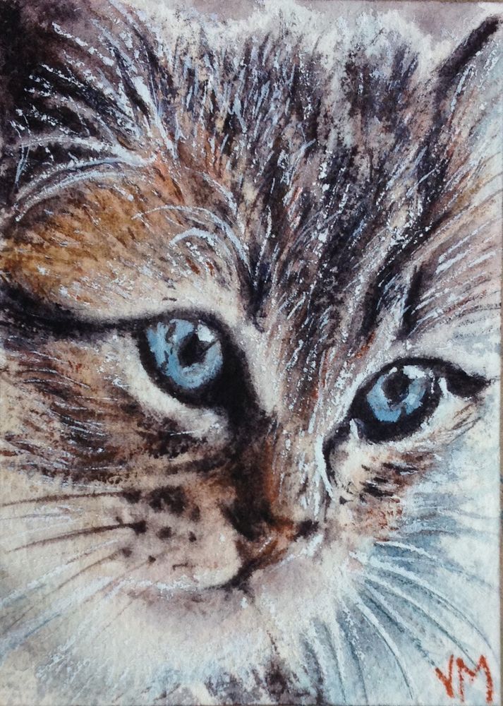 713x1000 Animal Eyes Watrr Color Painting Aceo