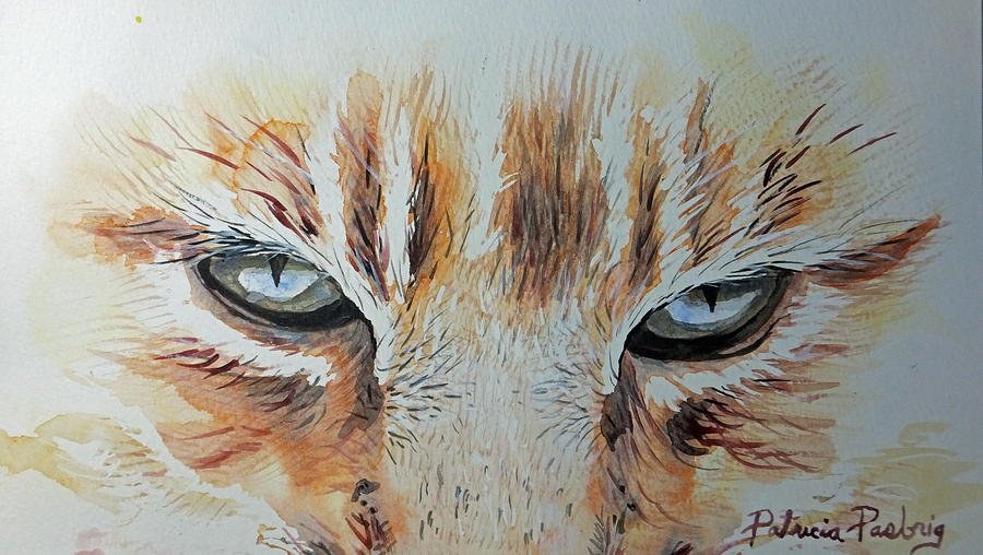 900x508 Cat Eyes Painting By Patricia Pasbrig