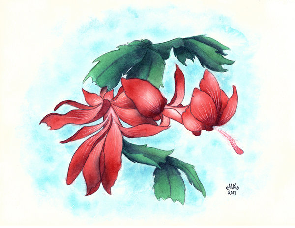 600x463 Christmas Cactus