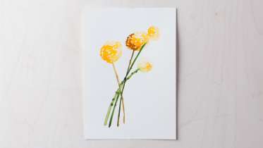 373x210 Daily Painting Challenge 31 Flowers To Paint With Yao Cheng By