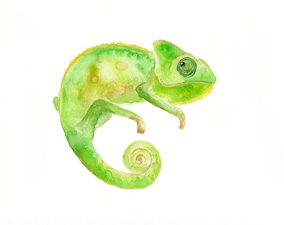 570x452 Drawn Cameleon Watercolor