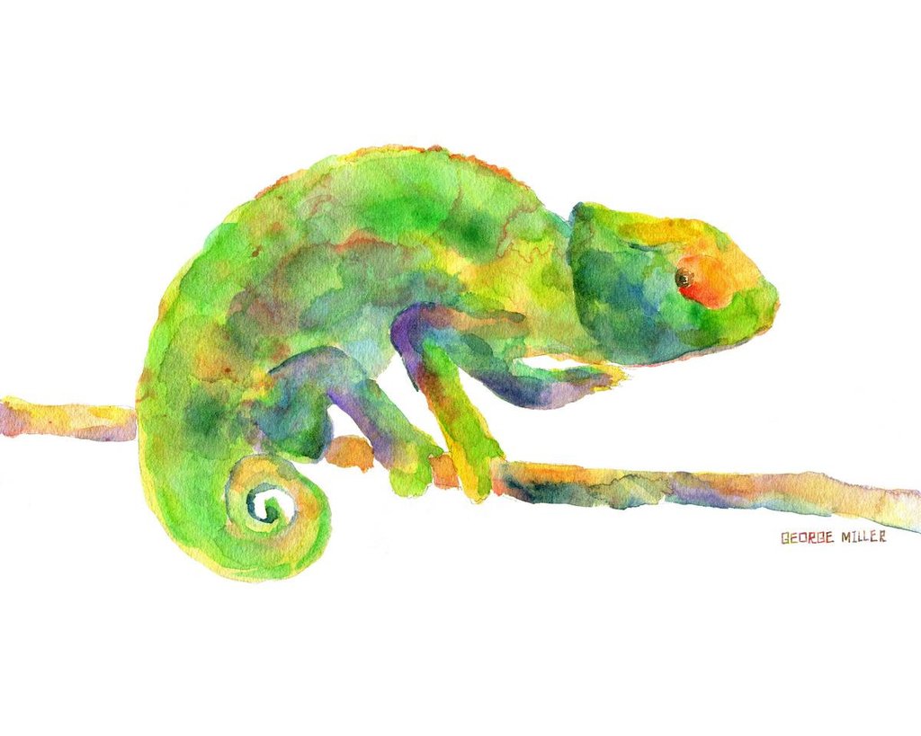 1024x819 Print Art, Chameleon Watercolor Print, Wall Decor Dorm, Abstract