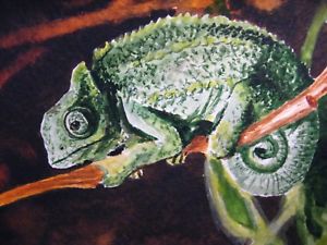 300x225 Watercolor Painting Chameleon Nature Tree Branch Aceo Art . Ebay