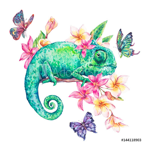 500x500 Watercolor Green Chameleon With Butterflies, Flowers
