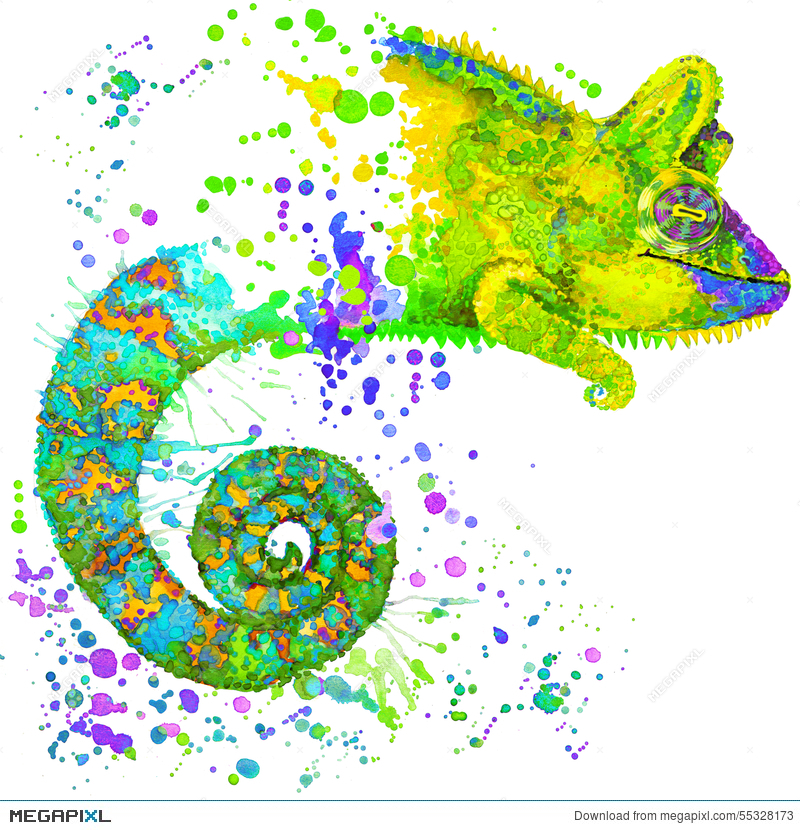 800x830 Chameleon Illustration With Splash Watercolor Textured Background