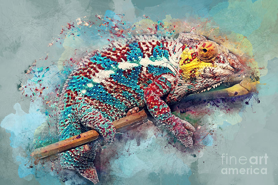 900x599 Chameleon Watercolor Art Painting By Justyna Jbjart