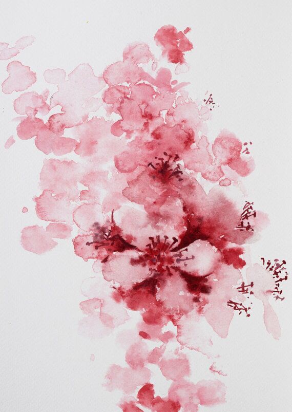570x802 Cherry Blossom Watercolor Close Up More Landscapes And Painting